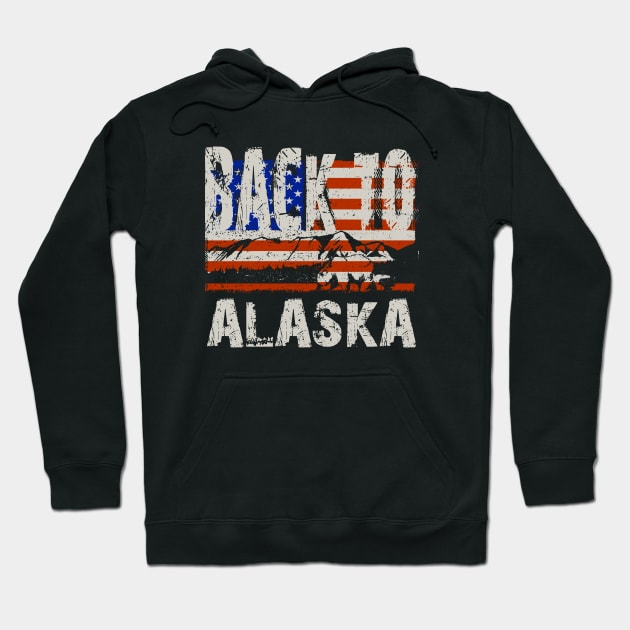 alaska Hoodie by VizRad